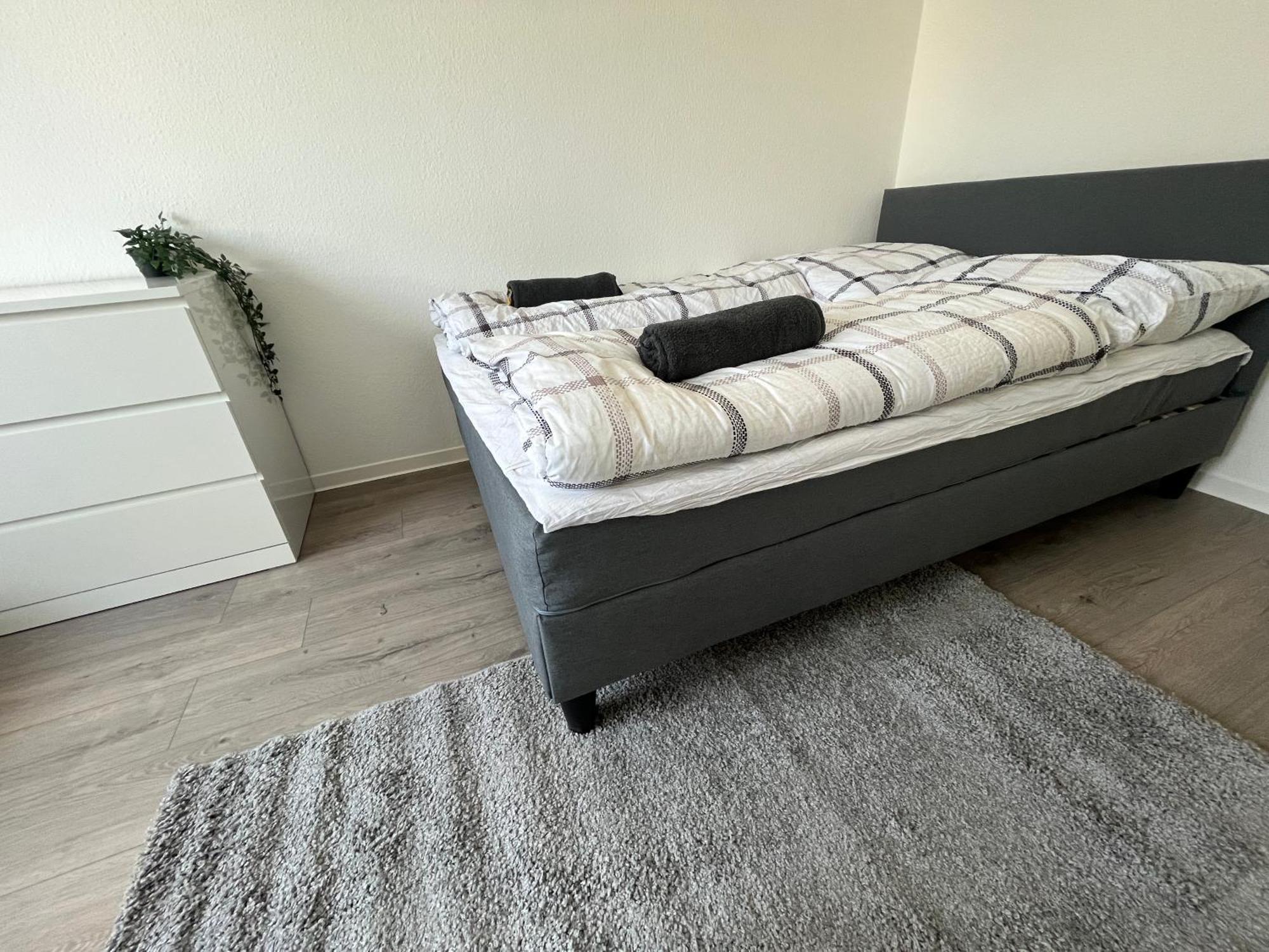 Simplex Apartments Am Marktplatz Карлсруе Екстериор снимка